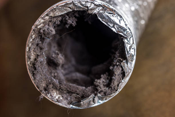 Best Dryer Vent Cleaning Services  in Melrose, MN