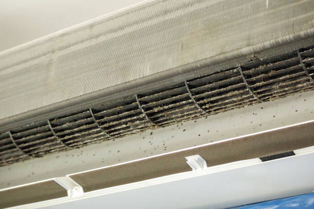 Best Residential Air Duct Cleaning  in Melrose, MN