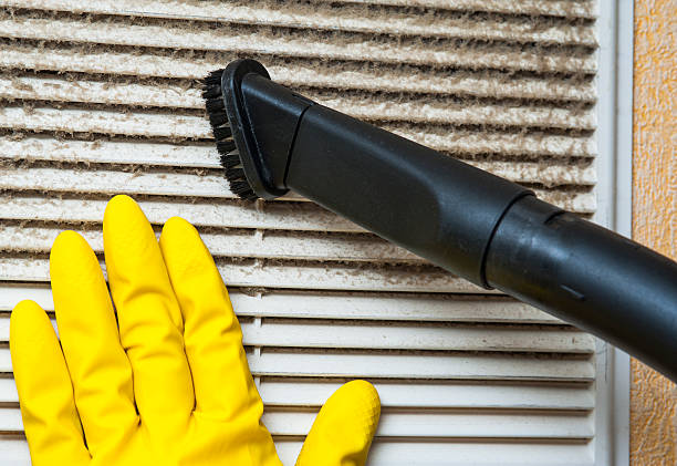 Best Dryer Vent Cleaning Services  in Melrose, MN